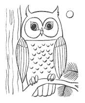 bird coloring pages