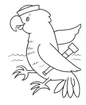 bird coloring pages