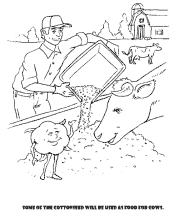cotton coloring page