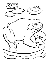 frogs coloring page