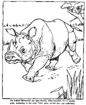 zoo coloring pages