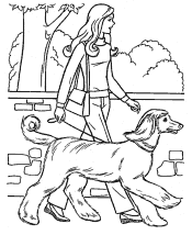 animal care coloring pages