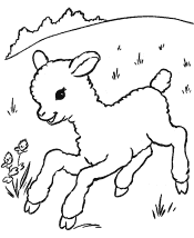 easter lamb coloring page