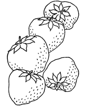 coloring pages of food
