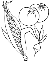 coloring page of food