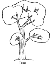 tree and leaf coloring pages