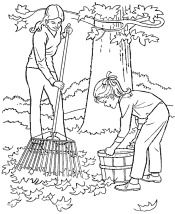 tree and leaf coloring pages
