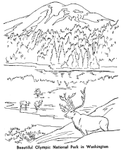 Olympic National Park coloring page